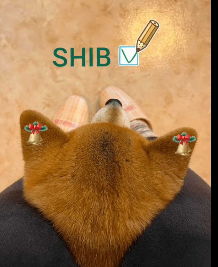 SHIBA INU (SHIB)预测表