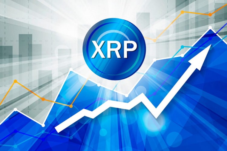 XRP投资机会与风险